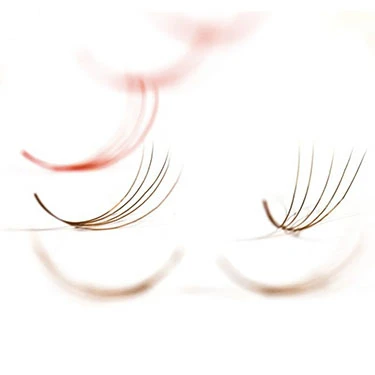 dark brown lash dark brown lash