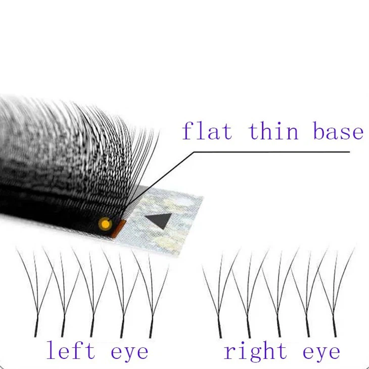 ส่วนขยายขนตา